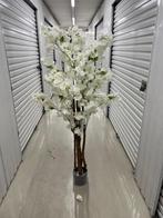 Bloesem boom met echt hout, Ophalen of Verzenden, Overige soorten
