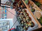 Lithops (levende steentjes), Vetplant, In pot, Minder dan 100 cm, Groene kamerplant