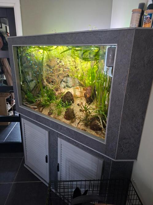 Eigen bouw aquarium 450 liter, Dieren en Toebehoren, Vissen | Aquaria en Toebehoren, Gebruikt, Gevuld zoetwateraquarium, Ophalen of Verzenden