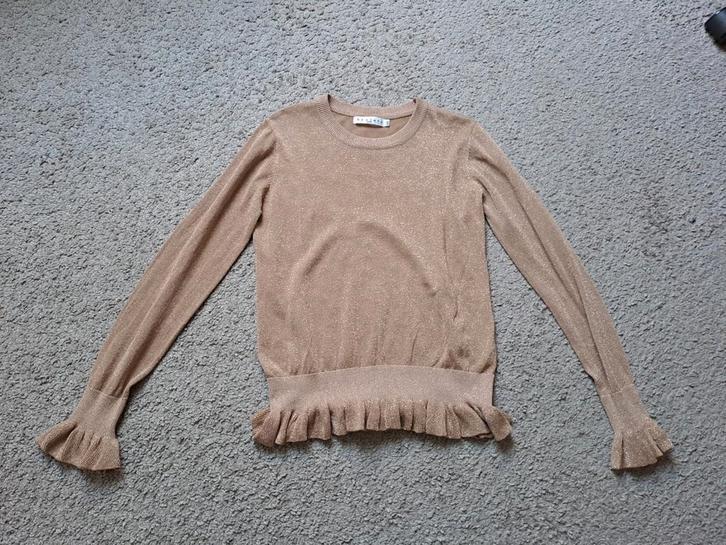 Zgan by clara truitje maat m/l, Kleding | Dames, Tops, Zo goed als nieuw, Maat 38/40 (M), Overige kleuren, Lange mouw, Ophalen of Verzenden