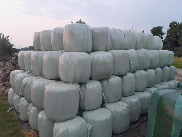 Minibalen (voordroog) hooi/kuil., Dieren en Toebehoren, Dierenvoeding, Vee, Ophalen of Verzenden