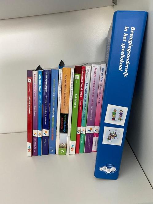 Pabo boekenpakket, Boeken, Studieboeken en Cursussen, Zo goed als nieuw, HBO, Alpha, Ophalen of Verzenden