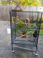 Grote vogelkooi, Ophalen, Zo goed als nieuw, Metaal, Vogelkooi