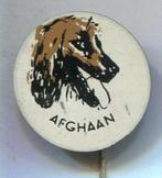 Afghaan blik honden speldje ( N_073 ), Verzamelen, Speldjes, Pins en Buttons, Verzenden, Zo goed als nieuw, Dier of Natuur, Speldje of Pin