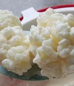 Verse melkkefir korrels, Ophalen