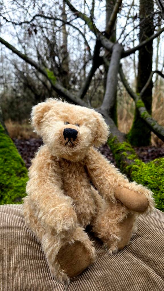 Beer, Verzenden, Zo goed als nieuw, Stoffen beer, Overige merken