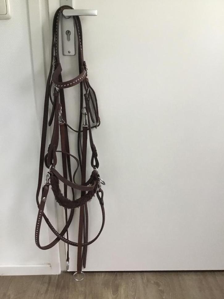 Super mooie western sidepull / bitloos hoofdstel, Dieren en Toebehoren, Paarden en Pony's | Hoofdstellen en Tuigage, Gebruikt