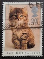 Engeland 418 katje, Ophalen of Verzenden