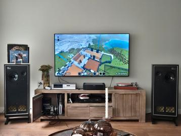 Gezocht. Imf tls 80 mk 2 of rspm professional monitor  beschikbaar voor biedingen