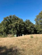 Perceel weidegang met grote schuilstal te huur Melick, Dieren en Toebehoren, Stalling