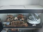 Hamsterscape/ terrarium/bak, Ophalen