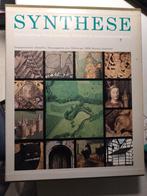 Synthese Zuid-Limburg Boek, Ophalen of Verzenden, 20e eeuw of later, Gelezen, DSM