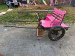 te ruil wagentje Shetland pony, Dieren en Toebehoren, Ophalen