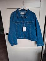 Only Carmakoma spijkerjas maat 48, Blauw, Maat 46/48 (XL) of groter, Nieuw, Ophalen of Verzenden