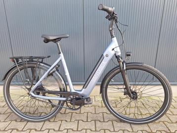 Van Dijck Leto beschikbaar voor biedingen