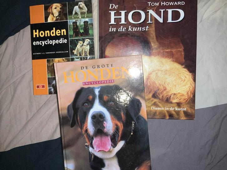 Honden encyclopedie Esther Verhoef + de hond in de kunst, Boeken, Dieren en Huisdieren, Zo goed als nieuw, Honden, Ophalen of Verzenden