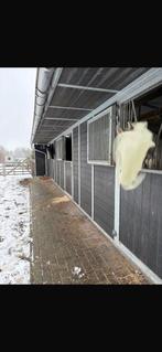 Stalling paardenstalling paarden pension weide grote rijbak, Stalling