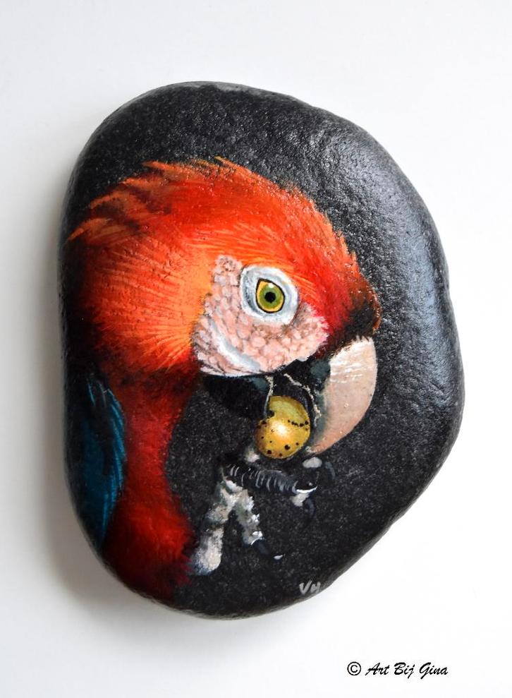 Knappe rode papegaai geschilderd op een grote riviersteen, Antiek en Kunst, Kunst | Overige Kunst, Ophalen of Verzenden