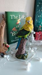 Grasparkiet op Boomstam - Tuindecoratie, Ophalen of Verzenden, Zo goed als nieuw, Kunststof, Dierenbeeld