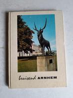 Bruisend Arnhem - Jaren 60 veel foto's, Boeken, Geschiedenis | Stad en Regio, Ophalen of Verzenden