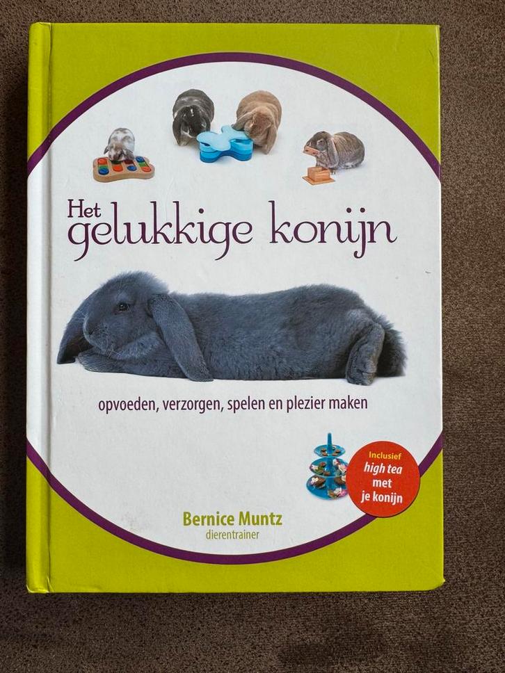 Bernice Muntz - High Five met je konijn, Boeken, Dieren en Huisdieren, Zo goed als nieuw, Ophalen of Verzenden
