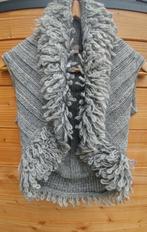 WE gilet met wol en alpaca mt. M, Maat 38/40 (M), Verzenden, WE, Nieuw
