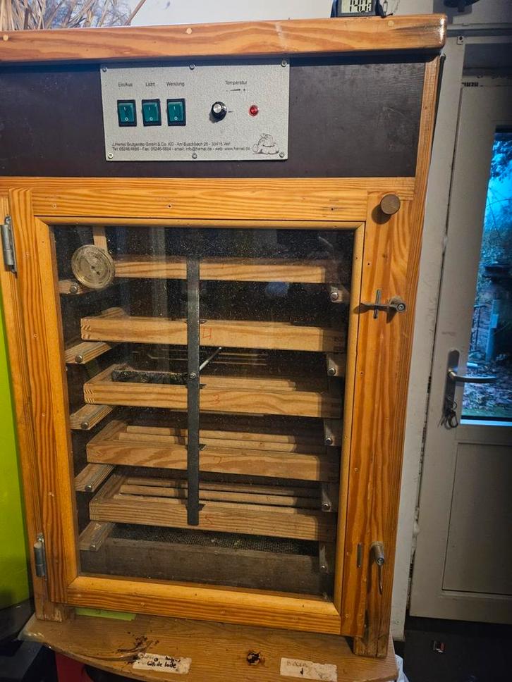 Broedmachine professioneel zeer groot, Dieren en Toebehoren, Pluimvee | Toebehoren, Kippenhok of Kippenren, Ophalen