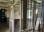 stal met weidegang, Dieren en Toebehoren, Stalling en Weidegang, Weidegang, 1 paard of pony
