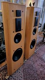 INFINITY Renaissance 90 - High End - Prachtig conditie, Zo goed als nieuw, 120 watt of meer, Front, Rear of Stereo speakers, Ophalen