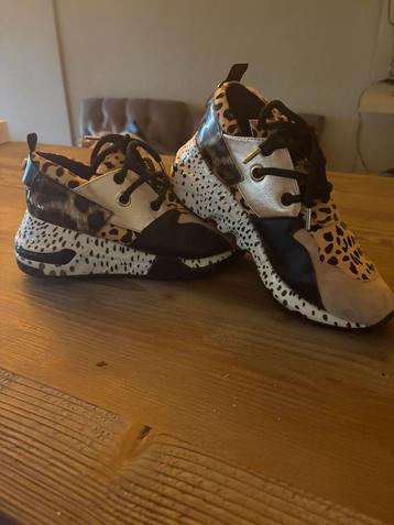 Geweldige panterprint sneakers v Steve Madden mt 38 beschikbaar voor biedingen