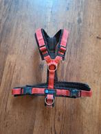 Anny-X tuig maat S, Verzenden, Gebruikt, Hondenriem-accessoire