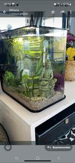 Biorb 15 liter, Dieren en Toebehoren, Ophalen, Zo goed als nieuw