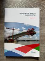 Projectmatig werken in de praktijk, Boeken, Ed Schouten, Zo goed als nieuw, Alpha, HBO