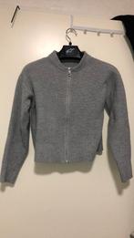 Vest, Kleding | Dames, Nieuw, Ophalen of Verzenden, Maat 36 (S), Grijs