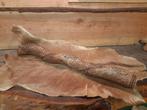Unieke talking stick, Antiek en Kunst, Ophalen of Verzenden