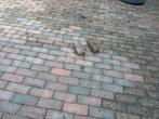 Kleine 50m2 klinkers, Tuin en Terras, Tegels en Klinkers, Ophalen, Klinkers, Zo goed als nieuw, 10 m² of meer