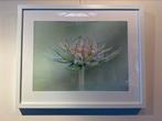 Ingelijste Foto's Bloemen en Vlinders, Antiek en Kunst, Ophalen of Verzenden