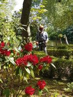 Tuinonderhoud Hovenier tuinman, Hekwerk of Schuttingen, Garantie