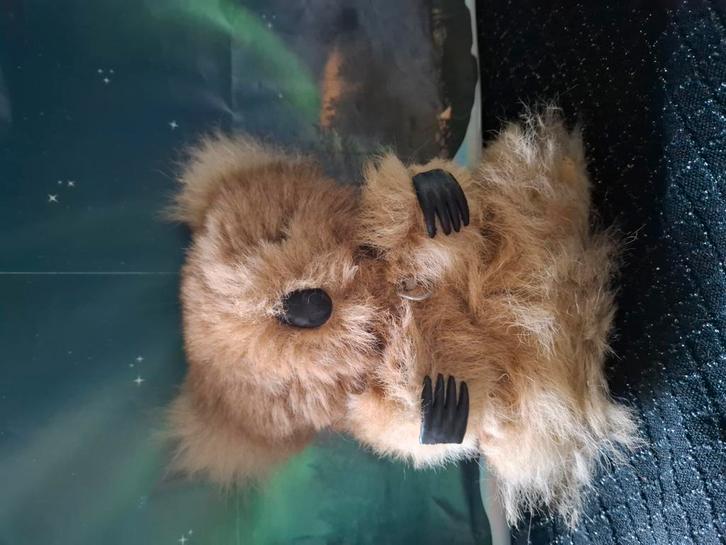 Een hele mooie koala muziekbeertje met echt haar, Hobby en Vrije tijd, Overige Hobby en Vrije tijd, Zo goed als nieuw, Ophalen of Verzenden