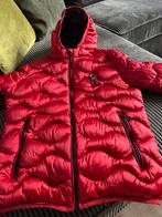 Blauer winter jas maat L, Ophalen of Verzenden, Zo goed als nieuw, Rood, Blauer