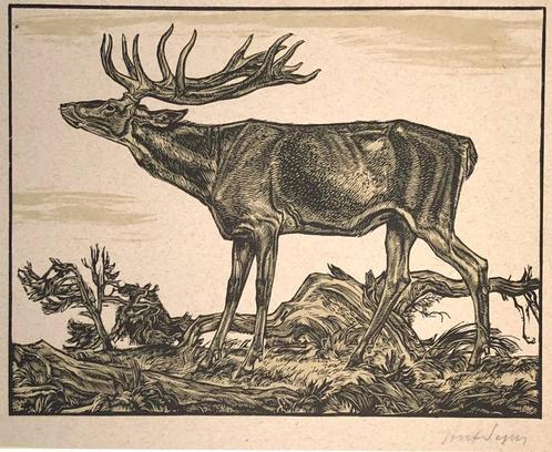 Mooie en betaalbare kunst v/h Grafiekkabinet, Antiek en Kunst, Kunst | Etsen en Gravures, Ophalen of Verzenden