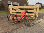 Stromer ST3 Pinion l Belt l 983wh  l Maat XL