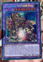 Yu-Gi-Oh! Amazoness Pet Liger King M23 1st Edition !, Hobby en Vrije tijd, Verzamelkaartspellen | Yu-gi-Oh!, Verzenden, Zo goed als nieuw