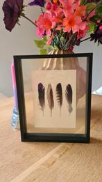 Schilderij met veren in zwarte lijst, Minder dan 50 cm, Ophalen of Verzenden, Zo goed als nieuw, Minder dan 50 cm