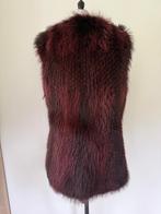 Fox jas, Kleding | Dames, Ophalen of Verzenden, Zo goed als nieuw, Maat 38/40 (M), Zwart