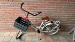 Nette Alpina Cargo transport fiets met mandje 20 inch, Gebruikt, Alpina, Ophalen of Verzenden, Handrem