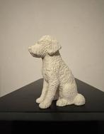 Labradoodle Beeldje diverse maten en kleuren, Ophalen of Verzenden, Nieuw, Dier