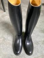 Paardrijlaarzen - nieuw - maat 42., Ophalen of Verzenden, Nieuw, Dressuur, Schoeisel