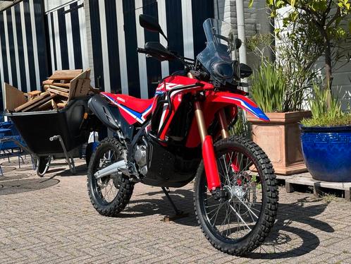 HONDA CRF 300 RALLY 169km! A2 2024 5jaar garantie! CRF300, Motoren, Motoren | Honda, Bedrijf, Overig, 12 t/m 35 kW