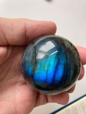 Labradoriet Bol beschikbaar voor biedingen